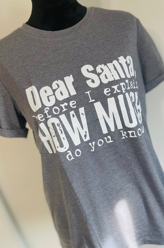 Gray Mineral Wash Christmas "Santa How Much Do You Know?" Graphic T Shirt